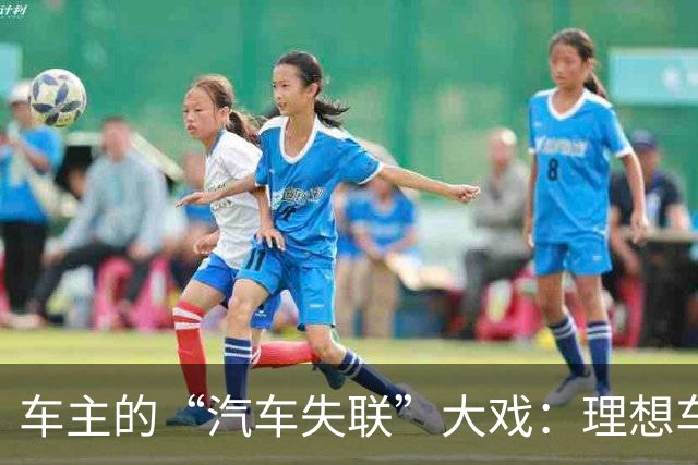车主的“汽车失联”大戏：理想车控权限神秘失踪